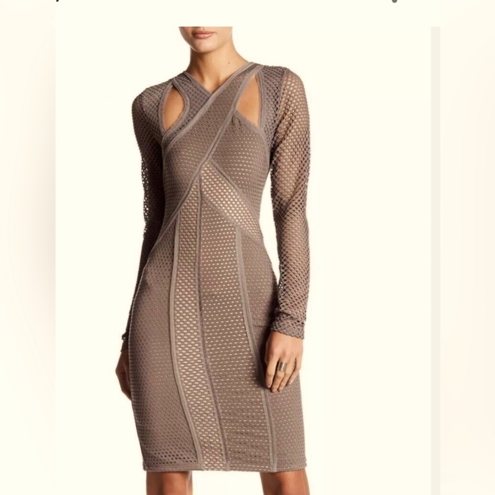 BCBGMAXAZRIA Taupe - Jaylynn Mesh Dress SMALL